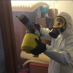 Уничтожение клопов в квартире. Сухой Лог
